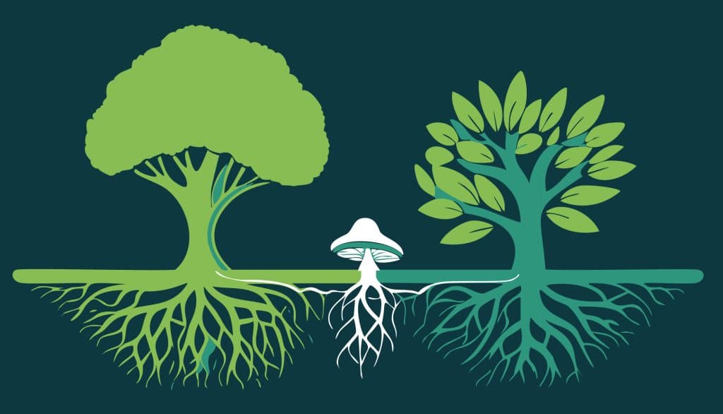 The Networked Plant Project